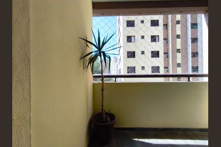 Apartamento para alugar com 67m², 3 quartos e 1 vaga Apartamento para alugar com 67m², 3 quartos e 1 vagaVaranda da Sala