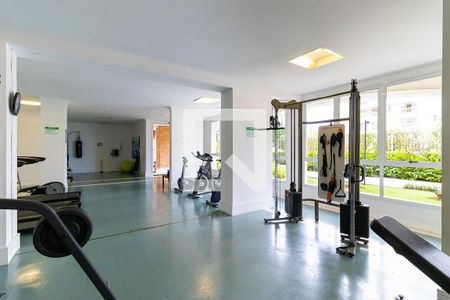 Apartamento para alugar com 213m², 4 quartos e 3 vagas Apartamento para alugar com 213m², 4 quartos e 3 vagasÁrea comum - Academia