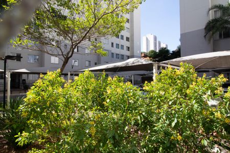 Apartamento à venda com 38m², 1 quarto e 1 vaga Apartamento à venda com 38m², 1 quarto e 1 vagaVista - Sala