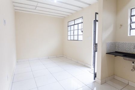 Studio de kitnet/studio para alugar com 1 quarto, 20m² em Havaí, Belo Horizonte