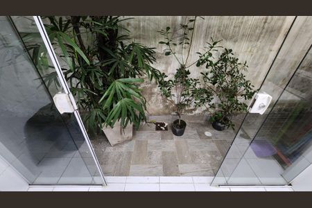 Casa para alugar com 180m², 3 quartos e 1 vaga Casa para alugar com 180m², 3 quartos e 1 vagaQuintal