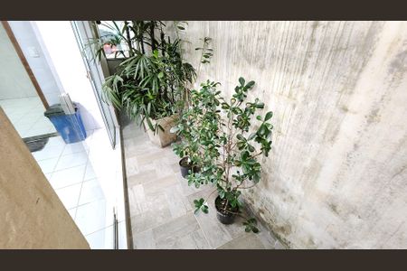 Casa para alugar com 180m², 3 quartos e 1 vaga Casa para alugar com 180m², 3 quartos e 1 vagaQuintal