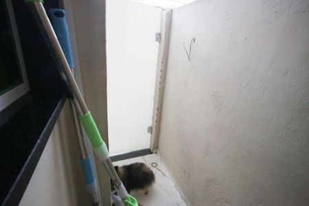 Casa de condomínio à venda com 130m², 3 quartos e 3 vagas Casa de condomínio à venda com 130m², 3 quartos e 3 vagasÁrea de Serviço