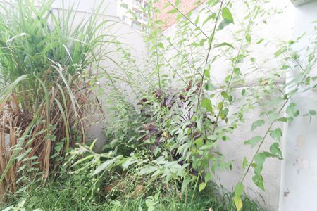 Casa à venda com 253m², 8 quartos e 5 vagas Casa à venda com 253m², 8 quartos e 5 vagasQuintal