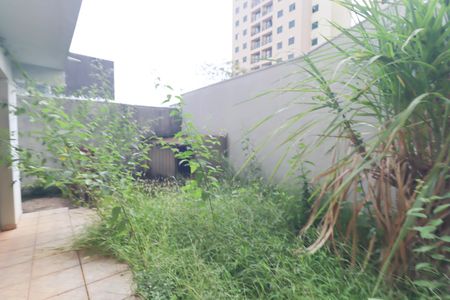 Casa à venda com 253m², 8 quartos e 5 vagas Casa à venda com 253m², 8 quartos e 5 vagasQuintal