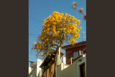 Casa para alugar com 336m², 3 quartos e 8 vagas