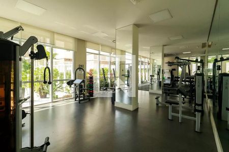 Apartamento à venda com 442m², 4 quartos e 6 vagas Apartamento à venda com 442m², 4 quartos e 6 vagasÁrea comum - Academia