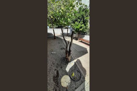 Apartamento à venda com 43m², 2 quartos e 1 vaga Apartamento à venda com 43m², 2 quartos e 1 vagaEspaço Pet