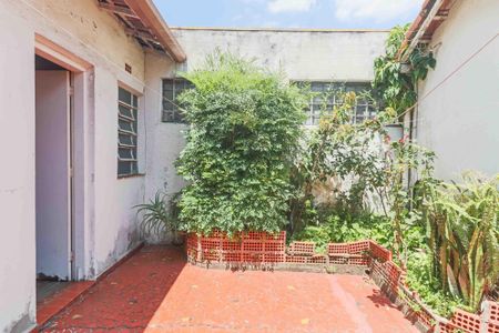 Casa à venda com 126m², 2 quartos e 2 vagas Casa à venda com 126m², 2 quartos e 2 vagasQuintal