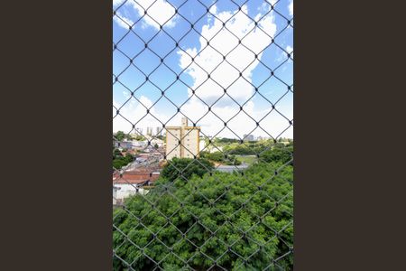 Apartamento à venda com 53m², 2 quartos e 1 vaga Apartamento à venda com 53m², 2 quartos e 1 vagavista Quarto 2