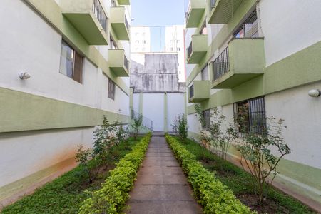 Apartamento à venda com 65m², 2 quartos e 1 vaga Apartamento à venda com 65m², 2 quartos e 1 vagaÁrea comum