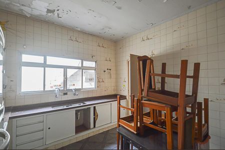 Apartamento para alugar com 110m², 3 quartos e 1 vaga Apartamento para alugar com 110m², 3 quartos e 1 vagaCozinha