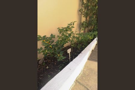 Casa à venda com 124m², 3 quartos e 2 vagas Casa à venda com 124m², 3 quartos e 2 vagasHorta comunitaria