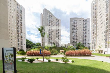 Apartamento à venda com 65m², 3 quartos e 1 vaga Apartamento à venda com 65m², 3 quartos e 1 vagaÁrea comum - Área Verde