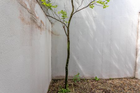 Casa de condomínio à venda com 215m², 3 quartos e 2 vagas Casa de condomínio à venda com 215m², 3 quartos e 2 vagasÁrea externa