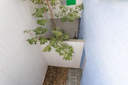 Casa de condomínio à venda com 216m², 3 quartos e 2 vagas Casa de condomínio à venda com 216m², 3 quartos e 2 vagasÁrea externa