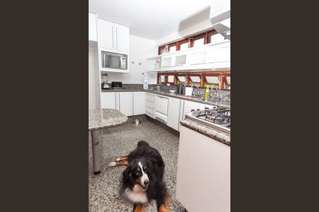 Casa de condomínio à venda com 450m², 3 quartos e 3 vagas Casa de condomínio à venda com 450m², 3 quartos e 3 vagasCozinha