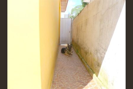 Casa à venda com 180m², 3 quartos e 6 vagas