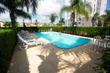 Apartamento para alugar com 44m², 2 quartos e 1 vaga Apartamento para alugar com 44m², 2 quartos e 1 vagaÁrea comum - Piscina