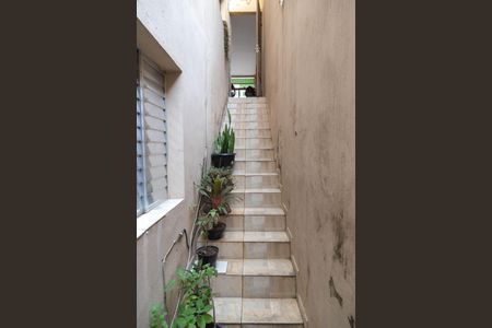 Casa à venda com 220m², 5 quartos e sem vaga Casa à venda com 220m², 5 quartos e sem vagaEscada Casa 3