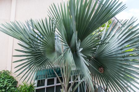 Casa de condomínio para alugar com 560m², 4 quartos e 6 vagas Casa de condomínio para alugar com 560m², 4 quartos e 6 vagasVista da Suíte