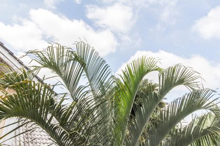 Casa de condomínio para alugar com 560m², 4 quartos e 6 vagas Casa de condomínio para alugar com 560m², 4 quartos e 6 vagasVista da Suíte