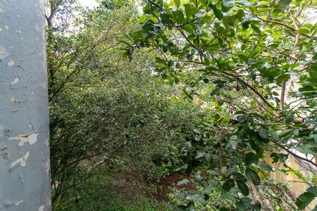 Casa para alugar com 350m², 3 quartos e 9 vagas Casa para alugar com 350m², 3 quartos e 9 vagasVista do Quarto 1