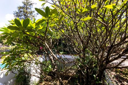 Casa para alugar com 380m², 3 quartos e 5 vagas Casa para alugar com 380m², 3 quartos e 5 vagasQuarto 2 vista