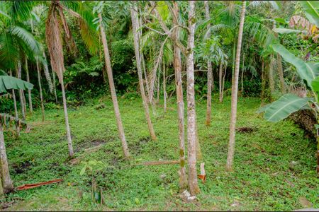 Casa para alugar com 90m², 2 quartos e 2 vagas Casa para alugar com 90m², 2 quartos e 2 vagasÁrea Externa