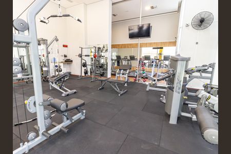 Apartamento para alugar com 55m², 1 quarto e 2 vagas Apartamento para alugar com 55m², 1 quarto e 2 vagasÁrea comum - Academia