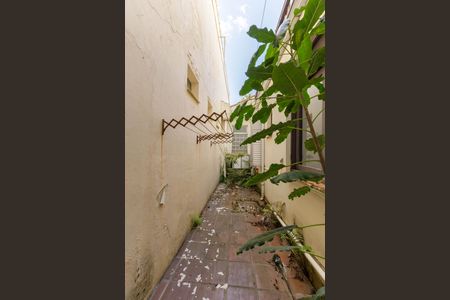 Casa para alugar com 500m², 7 quartos e 2 vagas Casa para alugar com 500m², 7 quartos e 2 vagasQuintal