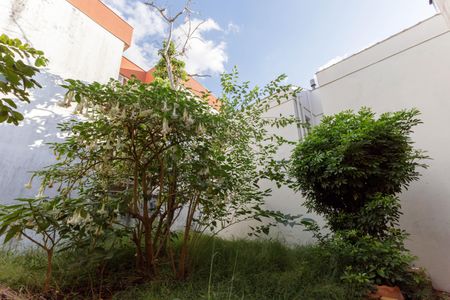 Casa para alugar com 500m², 7 quartos e 2 vagas Casa para alugar com 500m², 7 quartos e 2 vagasÁrea comum Quintal