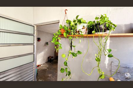 Casa à venda com 280m², 3 quartos e 2 vagas Casa à venda com 280m², 3 quartos e 2 vagasCozinha 2