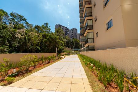 Apartamento para alugar com 68m², 2 quartos e 1 vaga Apartamento para alugar com 68m², 2 quartos e 1 vagaÁrea comum