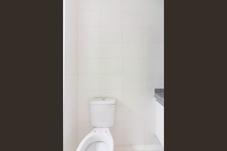 Apartamento para alugar com 55m², 2 quartos e 1 vaga Apartamento para alugar com 55m², 2 quartos e 1 vagaBanheiro da Suíte