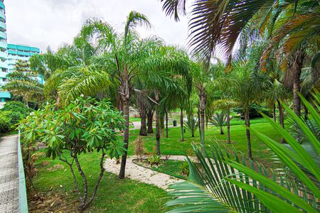 Apartamento para alugar com 83m², 2 quartos e 1 vaga Apartamento para alugar com 83m², 2 quartos e 1 vagaarea comum