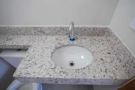 Lavabo de casa à venda com 2 quartos, 74m² em Rio Branco, Belo Horizonte