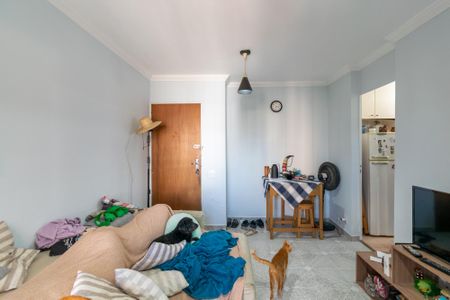 Sala de apartamento para alugar com 2 quartos, 63m² em Vila Guarani, São Paulo