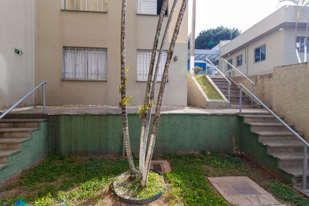 Vista da Sala de apartamento para alugar com 2 quartos, 54m² em Jardim Torino, Cotia