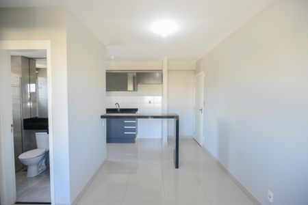 Sala de apartamento para alugar com 2 quartos, 50m² em Vila Virginia, Ribeirão Preto