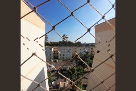 Foto 17 de apartamento à venda com 2 quartos, 62m² em Jardim do Vovô, Campinas
