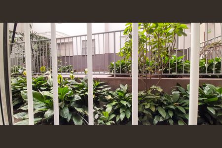 Vista do Quarto 1 de apartamento à venda com 2 quartos, 43m² em Vila Yolanda, Osasco