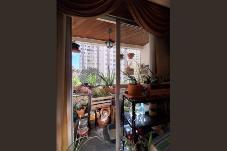 Sacada de apartamento para alugar com 3 quartos, 65m² em Vila Nova Cachoeirinha, São Paulo