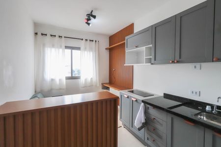 Sala de kitnet/studio para alugar com 1 quarto, 27m² em Vila Aricanduva, São Paulo