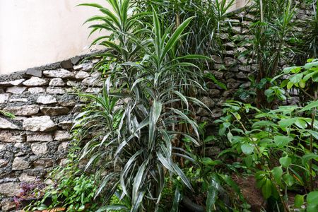 Vista da Suíte de apartamento para alugar com 1 quarto, 60m² em Jardim Maria Rosa, Taboão da Serra