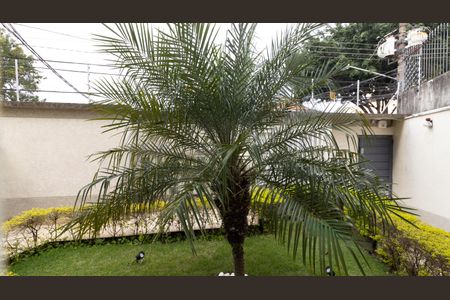 Vista do Quarto 1 de apartamento para alugar com 2 quartos, 45m² em Vila Matilde, São Paulo