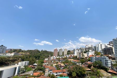 Vista de apartamento à venda com 1 quarto, 51m² em Luxemburgo, Belo Horizonte