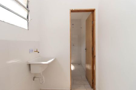 Área de Serviço de apartamento para alugar com 1 quarto, 50m² em Jardim Palmira, São Paulo