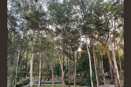 Vista do Quarto de apartamento à venda com 5 quartos, 365m² em Jardim Luzitania, São Paulo