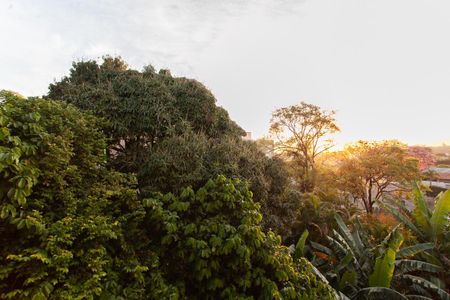 Vista da Sala de apartamento à venda com 2 quartos, 51m² em Paquetá, Belo Horizonte
